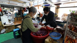 [김영철의 동네 한 바퀴] 경남 진주 상무사·진주육회비빔밥·촉석루 의기사·까꼬실마을 속으로
