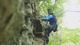 [EBS 한국기행] 가을 사냥꾼 절벽 위 석청과 석벌 돌보기, 산 속 석이버섯 채취 현장