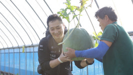 [EBS 아주 각별한 기행] 과일을 이용해 깍두기와 장아찌를 담근다!? 광주시 금곡마을 무등산수박 재배 농장 공개!