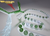 카이스트 성형진 교수팀, 랩온어칩(Lab on a Chip)지 표지논문 게재 