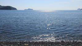 [EBS 한국기행] 전남 해남의 어란항에서 삼치 낚시를, 거제 해변가에서 문어·소라 등 갈고리 피싱을!