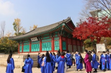성균관대학교 영재교육원, 코로나19에도 불구하고 2020학년도 교육 성료