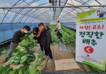 전북대학교, 예비 청년농부가 키운 친환경 배추, 홍보 및 판매