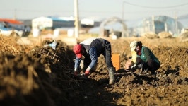 [김영철의 동네 한 바퀴] 비슬산, 화원시장 뻥튀기 기타맨, 마비정벽화마을, 가마솥 빵떡, 한훤당, 4대 전통 손칼국수 대구 달성군 편