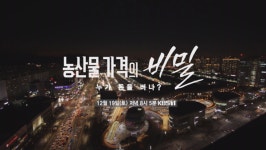 KBS 시사기획 창, 도매시장법인 경매사… 농산물 가격의 비밀, 누가 돈을 버나?