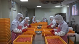 [EBS 극한직업 재방송] 가정 간편식 반찬과 젓갈 제조 현장과 어묵공장을 가다!