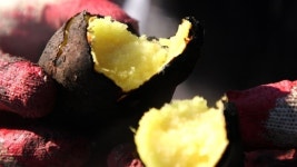 김훈 작가와 한국인의 밥상의 동행 옛 것이 새 것이다 서유구의 정조지를 만나다