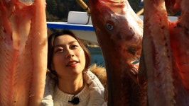 [EBS 아주 각별한 기행] 거제 외포항, 전행자 할머니의 손맛 대구탕 대구 손질법공개!