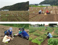 서울시 함께서울 친환경농장 도시농부 모집