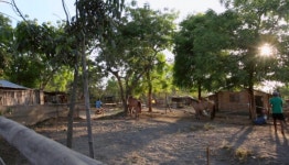 [EBS 세계테마기행] 이독실과 함께 필리핀 마욘 화산 부앙마을·탈화산·밀라그로사마을