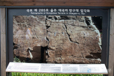 주말 나들이 갈만한 곳 울산 반구대 암각화, 대한민국 대표 관광명소 100선 선정