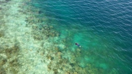 [EBS 세계테마기행] 김이재와 함께 인도네시아 칼리만탄·나가라강·자바섬·테라세링·숨바와