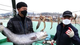 [한국인의 밥상] 대천항-도다리쑥국, 함평 월천항-꼬막달래무침, 목포 남항-월동민어, 홍성 남당항-천수만 새조개 서해 봄 밥상