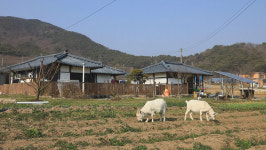 [EBS 한국기행] 당신을 위한 하룻밤 날마다 소풍, 105년 된 고택에서 보내는 선물같은 하루
