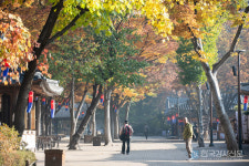 [경기도 주말 나들이 갈만한 곳] 한국관광 100선에 선정된 용인 한국민속촌
