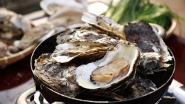 한국인의 밥상, 봄날 섬진강 곡성 압록마을-참게, 순창 장군목마을-두메부추, 하동-벚굴