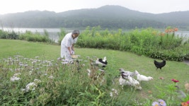 KBS 다큐인사이트 인생정원 - 아내의 정원 오산시 서랑호숫가 시크릿 가든…안홍선씨의 들꽃정원
