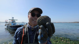 [EBS 한국기행] 봄이면, 네가 오지 봄 한 그릇 하실래요! 부부만의 보물섬