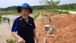 KBS 다큐인사이트, 인생정원-아버지의 정원 하루의 소중함, 이홍훈 전 대법관 이야기