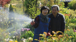 [EBS 한국기행] 어여쁘다 꽃청춘, 날마다 꽃 마실 87년 된 고택을 고치고 앞마당은 정원으로! 종숙씨네 꽃밭