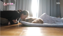 TV 동물농장, 반려동물과의 만남부터 이별까지 이효리와 순심이 이야기