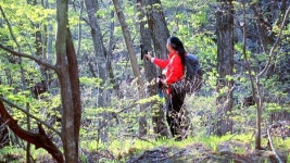 영상앨범 산, 등산코스…주산지·절골분소·대문다리·용추폭포·학소대·대전사 주왕산 국립공원
