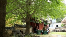 김영철의 동네 한 바퀴 고석정 철원 막국수 평화전망대 말목장 콩탕 …강원도 철원 편