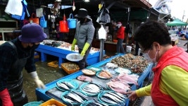 한국인의 밥상, 주문진 홍게 묵호항 어징어 강릉 장칼국수 씨종지떡 삼척 꽁치국수…강원도의 맛