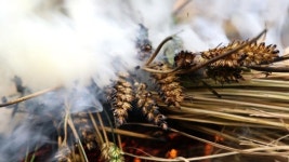 한국인의 밥상, 150년 제분소 부산 구포국수 대갈범벅 늘림국수 바지락만두…밀가루의 추억