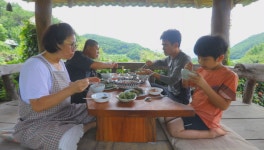 [EBS 한국기행] 여름 산골 밥상 경남 하동 맛 조이 밥집에 한끼 먹으러 오지!