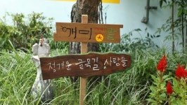 김영철의 동네 한 바퀴, 모전교 신당동백반집 119식당 동대문디자인플라자…청계천 옆 동네