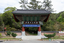 전남 강진 가볼만한 곳 백련사, 동백나무숲으로 유명...만덕산에 있어 만덕사로도 불림