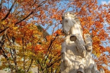 주말대학교 찾는 직장인, 숭실대 글로벌미래교육원 주말학사과정 신입생 모집