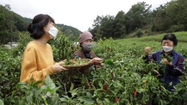 군위-어머니의 손맛 밀키트, 강릉-홍게장, 인제-김치, 홍천-전통주…한국인의 전통 밥상