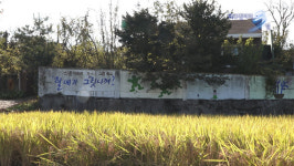 다큐멘터리 3일, 경북 예천 신풍리 신풍미술관 72시간 할머니 미술학교