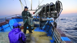 [바닷가 사람들] 김원규 선장과 함께 동해의 나폴리 장호항, 금대구가 돌아오다