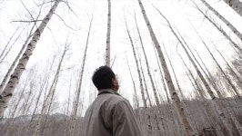김영철의 동네 한 바퀴 백담사, 원대리 자작나무 숲, 짜박두부, 박인환문학관, 용대리 황태…강원도 인제