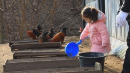 [EBS 한국기행] 겨울 왕국 무진장 전북 무주, 산골 농장의 삼대가 함께하는 멋진 하루!