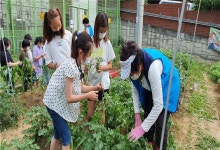 인천시 농업기술센터, 도시농업관리사 대상 도시농업 텃밭 전문강사 양성