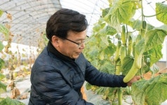 세종대학교 송기환 교수, 국내 최초 오이 2품종의 유전체 정보 해독