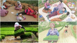 다큐온, 해남의 똑순이 농부 화가 순복 씨의 고향 스케치