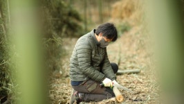 김영철의 동네 한 바퀴 섬진강 두꺼비다리 산수유 술빵·막걸리 구례오일장 뻥튀기 지리산 버섯전골…구례
