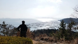 한국인의 밥상, 김·다시마·매생이·넓패·참모자반…소안도 평일도 완도 봄 바다가 차린 해조류 밥상