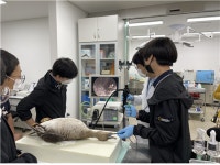 인천시 야생동물구조관리센터, 야생동물 생태교육 및 체험 프로그램 운영
