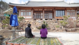 [EBS 한국기행] 내 인생의 봄날은 은퇴 후 꽃 피운 부부의 봄날 vs 인생의 봄날은 언제나 오늘