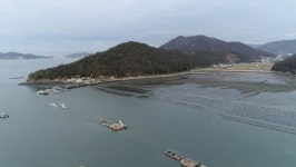 다큐온, 전남 장흥 내저마을 '삼삼부부의 매생이 별곡'