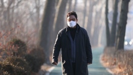 김영철의 동네 한 바퀴, 경기도 과천…관악산 건강밥상 서울대공원 화훼단지 들기름 막국수 인장회화