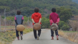 [EBS 한국기행] 나물 찾아 봄 '보길도 부용마을, 풍도, 고흥, 진도, 방풍나물, 해남, 홍화나물 '