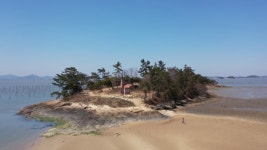 [EBS 한국기행] 봄 배달 왔습니다 욕지도, 섬진강, 벚굴, 섬티아고, 기점·소악도, 연동사 