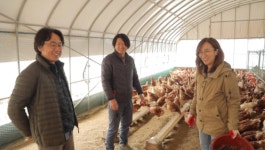 [EBS 한국기행] 봄 배달 왔습니다 욕지도, 섬진강, 벚굴, 섬티아고, 기점·소악도, 연동사 